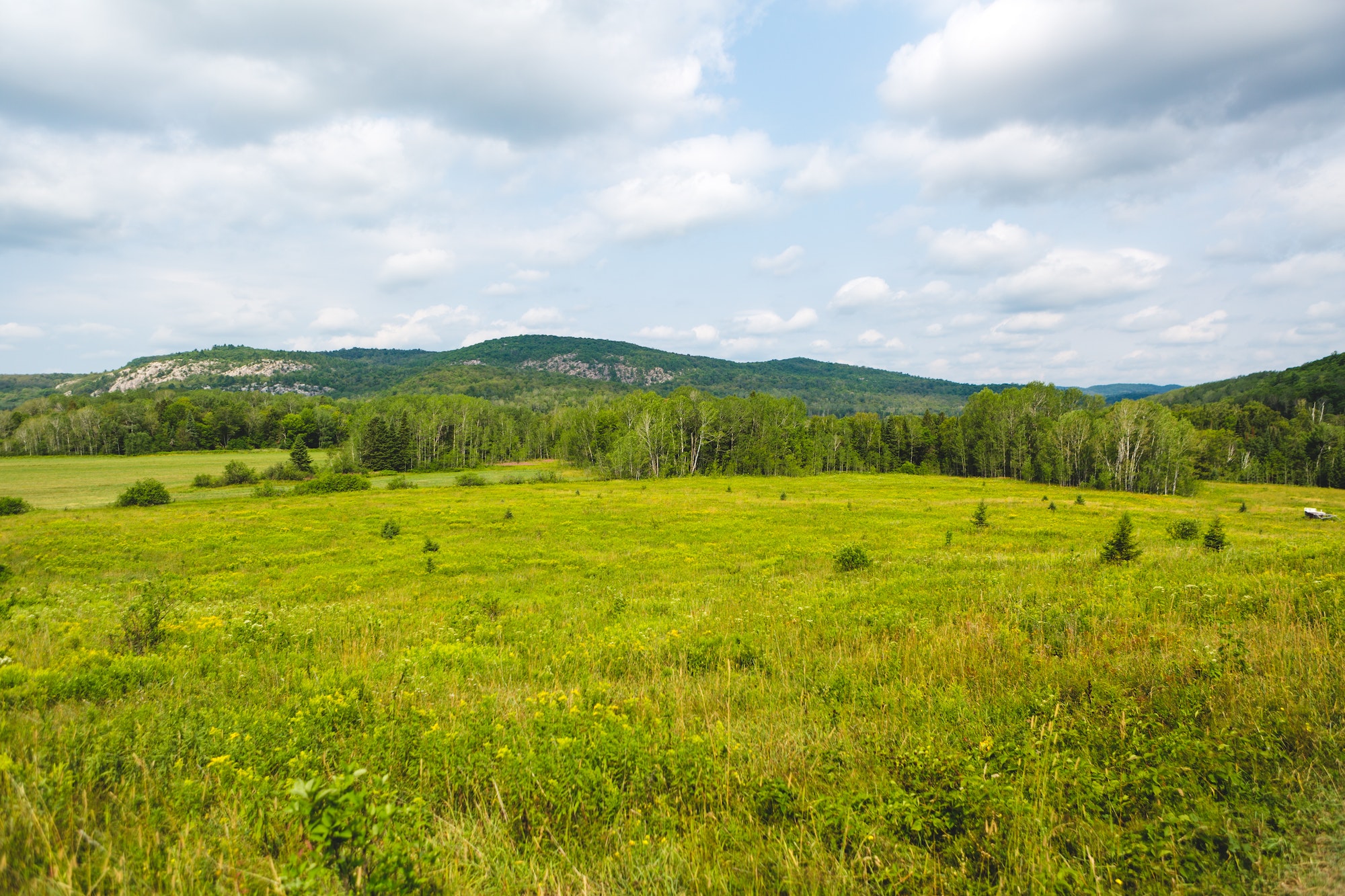 Beautiful peaceful grassy open field with a blue sky with clouds and mountains in the distance